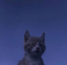 Ket