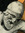 Hans Sägi