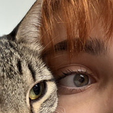 miranda