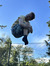 Tyler N...