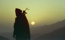 ندى سيد