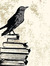 Biraru U.
