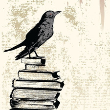 Biraru U.