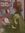 ⋆˚࿔ thebookmatch 