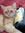Gato