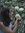 Elif