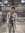 Daniyal Kaleem