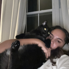 Indi