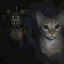 Lucy