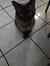 Sheyla_...