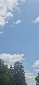 Mari R