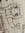 Ming Yi