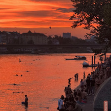 Florentine