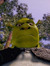 gofrik