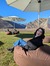 Elanna ...