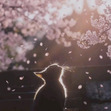 ᴍᴀʀʏ