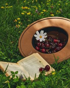 Cereza.libros