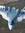 Lucamasso20
