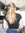 Sanne