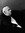 Stephen Lorenz