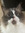 Sofie