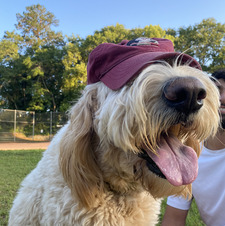Brent Shepherd