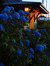 Maddy M...