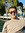 Zaid