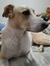 Claudia