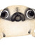 Anouk