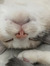 Ellie_P...
