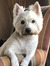 Kathy Y...