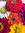 Brew Flowers