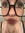 Haddie Waddie