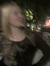 Martyna