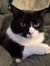 sierra