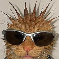 cxcxbear