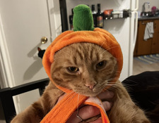 LAR