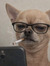 Nerea N...