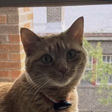 Jamie
