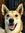 member photo member photo