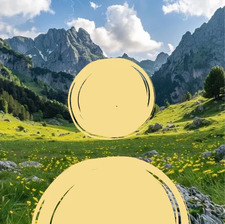 هبة 