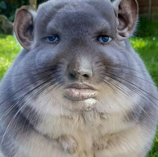 Eiss