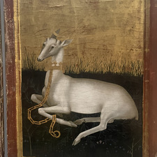 Stella