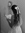 Isabell...