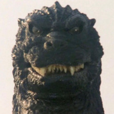 Mir