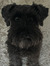 Bailey ...