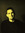 Nathan Wright