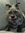 davis_smokie