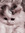 chrissy